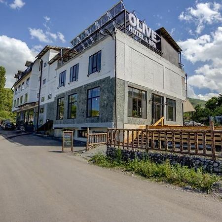 Olive Ala-Archa Hotel & Spa Verkhnyaya Alaarcha Buitenkant foto