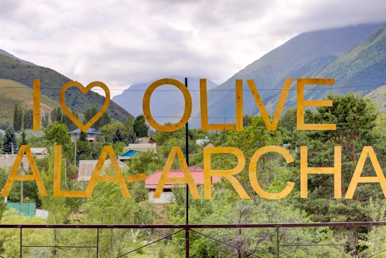 Olive Ala-Archa Hotel & Spa Verkhnyaya Alaarcha Buitenkant foto
